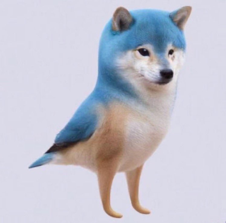 懂得打个懂