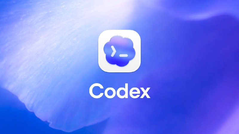 #AI编程⭐ Sam Altman 发 x 称 Codex 将继续向免费用户提供直达：