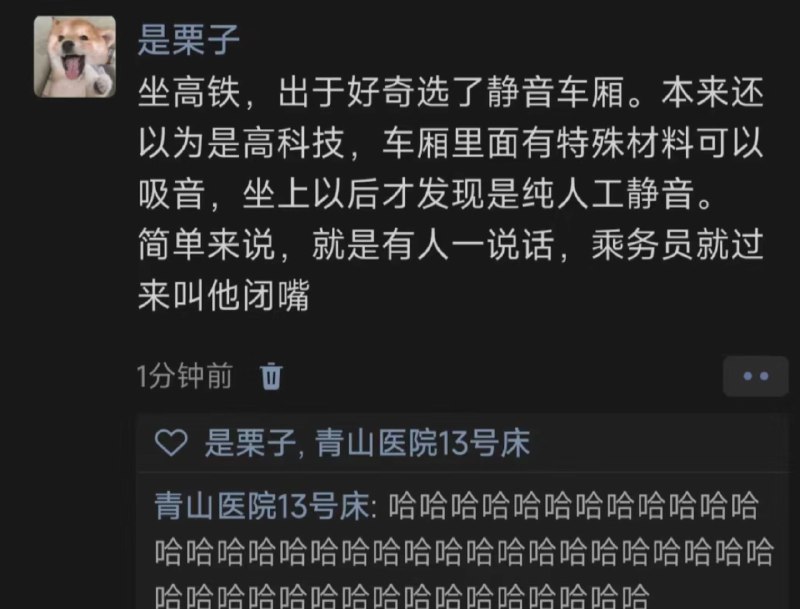 #樂高铁静音车厢体验