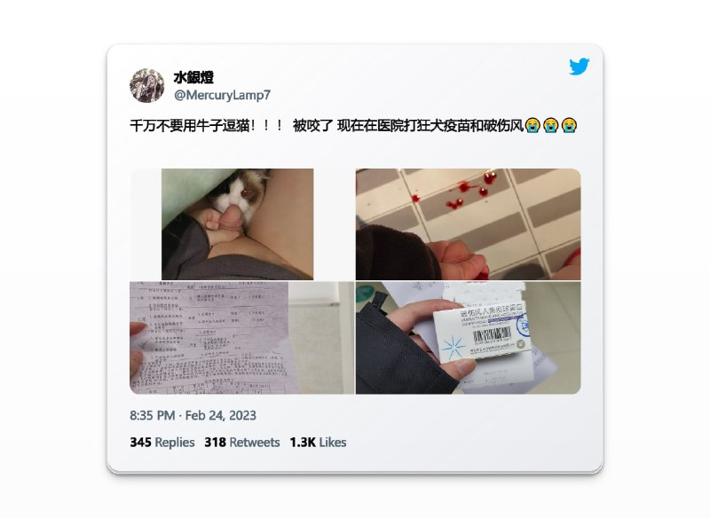 #楽痛不痛不知道，我只知道你的牛子有点小via 水銀燈