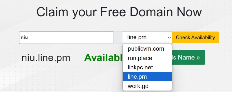 白嫖永久域名注册地址：